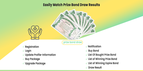 Absolutely Customized Software Development Service